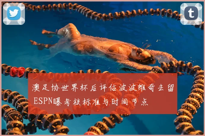 澳足协世界杯后评估波波维奇去留 ESPN曝考核标准与时间节点